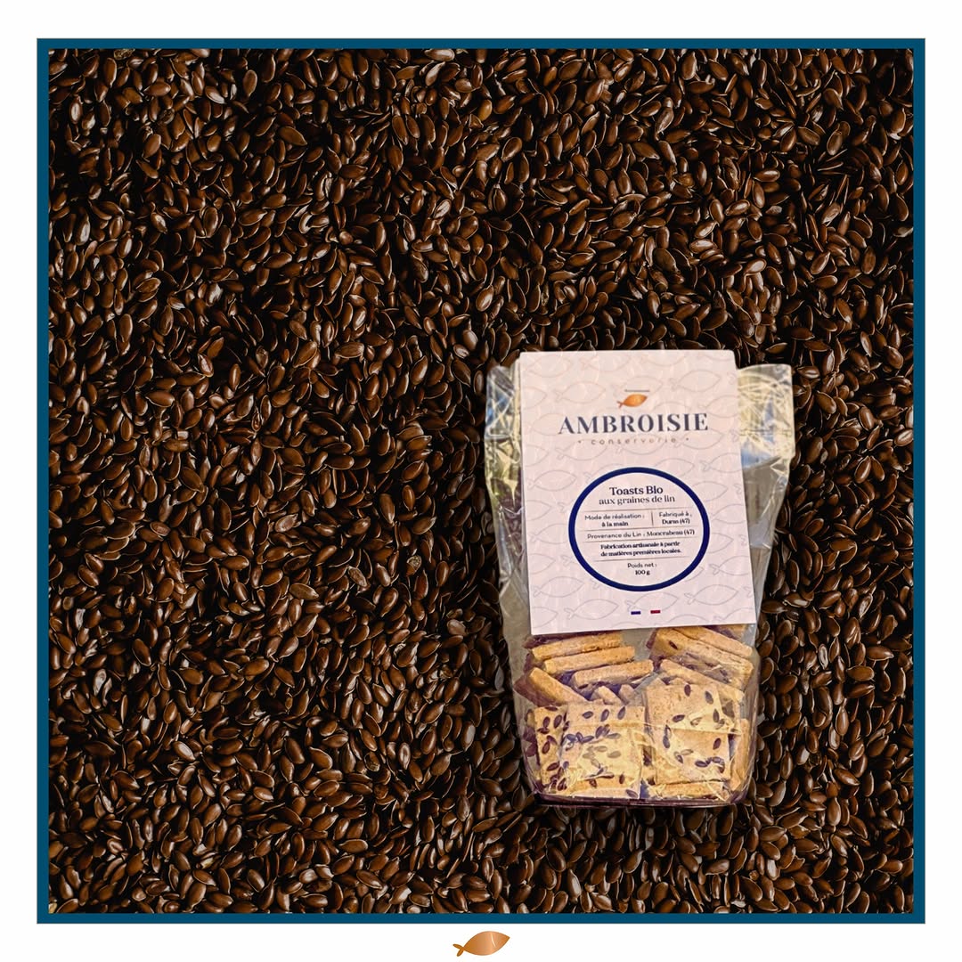 366725620_751290093668526_8862265035602245334_n